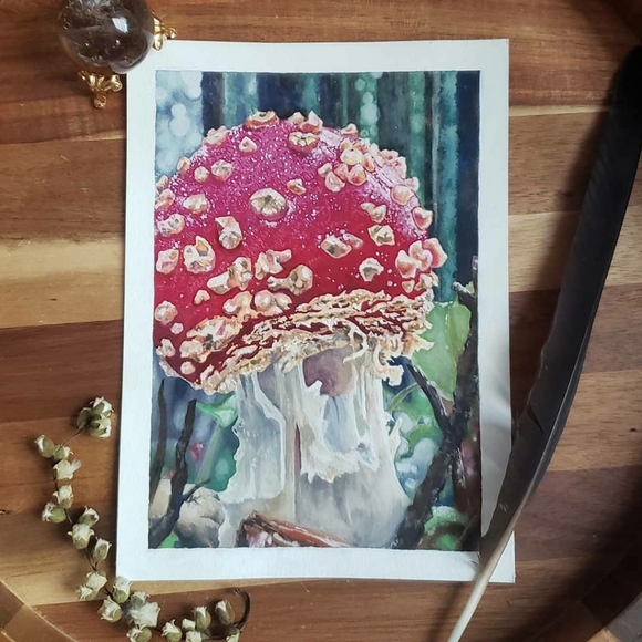 Meet your Posher, Ashley - Picture 4 of 6